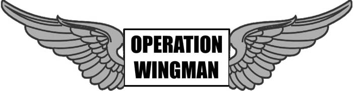 Operation Wingman